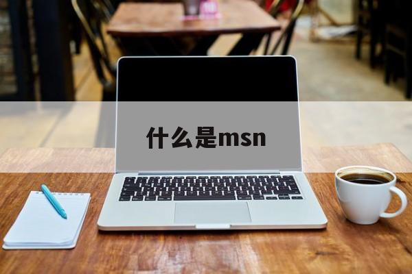 什么是msn:(msn人群是什么意思啊)