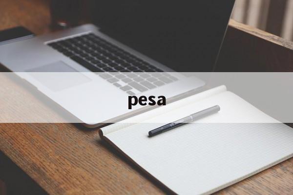 pesa:(PESARO算什么档次的牌子)