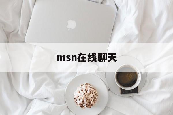 msn在线聊天:(HiMSN聊天软件)