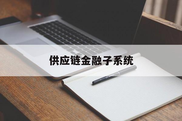 供应链金融子系统:(金融供应链是什么意思)